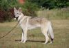 Filename=8mes_Kosmo_Raff1.jpg
Filesize=158KiB
Dimensions=1200x835
Date added=Jul 21, 2019 8mes_Kosmo_Raff1.jpg