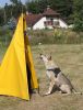 Filename=Erron_obrany3.jpg
Filesize=181KiB
Dimensions=800x1048
Date added=Jul 21, 2019 Erron_obrany3.jpg