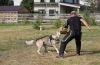 Filename=Erron_obrany5.jpg
Filesize=247KiB
Dimensions=1200x785
Date added=Jul 21, 2019 Erron_obrany5.jpg