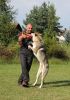 Filename=FuFi_Obrana2.jpg
Filesize=207KiB
Dimensions=800x1133
Date added=Jul 28, 2020 FuFi_Obrana2.jpg