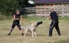 Filename=Gero_Kuklik2.jpg
Filesize=197KiB
Dimensions=1200x762
Date added=Jul 21, 2019 Gero_Kuklik2.jpg