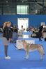 Harriett_25_NV_Brno1.jpg