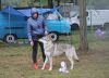 Filename=Justify_kassius_sobota2.jpg
Filesize=182KiB
Dimensions=1200x874
Date added=Sep 30, 2020 Justify_kassius_sobota2.jpg