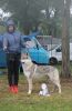 Filename=Justify_kassius_sobota3.jpg
Filesize=263KiB
Dimensions=1000x1517
Date added=Sep 30, 2020 Justify_kassius_sobota3.jpg