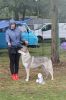 Filename=Justify_kassius_sobota5.jpg
Filesize=320KiB
Dimensions=1000x1505
Date added=Sep 30, 2020 Justify_kassius_sobota5.jpg