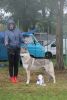 Filename=Justify_kassius_sobota6.jpg
Filesize=259KiB
Dimensions=1000x1472
Date added=Sep 30, 2020 Justify_kassius_sobota6.jpg