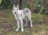Filename=10mes_Cora.JPG
Filesize=208KiB
Dimensions=1000x735
Date added=Sep 29, 2014 10mes_Cora.JPG