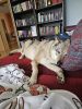 Filename=11let_CyrioH1.jpg
Filesize=485KiB
Dimensions=1000x1333
Date added=May 22, 2025 11let_CyrioH1.jpg