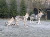 Filename=brezen2014_holkydecin.jpg
Filesize=769KiB
Dimensions=1000x750
Date added=Mar 11, 2014 brezen2014_holkydecin.jpg