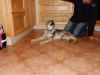 Filename=13weeks_Eldridge3.jpg
Filesize=118KiB
Dimensions=1000x750
Date added=Jan 19, 2016 13weeks_Eldridge3.jpg