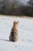 Filename=27_leden_Mora__4.jpg
Filesize=78KiB
Dimensions=800x1200
Date added=Mar 04, 2021 27_leden_Mora__4.jpg