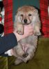 Filename=4weeks_MII_female_no_1.jpg
Filesize=109KiB
Dimensions=800x1123
Date added=Jan 12, 2021 4weeks_MII_female_no_1.jpg