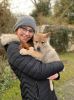 Filename=7weeks_Maiko.jpg
Filesize=111KiB
Dimensions=800x1067
Date added=Feb 22, 2021 7weeks_Maiko.jpg