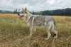 Filename=26_Genny_z_MoluEs.jpg
Filesize=391KiB
Dimensions=1200x793
Date added=Jul 22, 2026 26_Genny_z_MoluEs.jpg