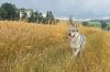 Filename=26_Genny_z_MoluEs1.jpg
Filesize=387KiB
Dimensions=1200x797
Date added=Jul 22, 2026 26_Genny_z_MoluEs1.jpg