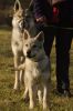 Filename=14weeks_Korry_Erron.jpg
Filesize=146KiB
Dimensions=800x1209
Date added=Feb 19, 2019 14weeks_Korry_Erron.jpg