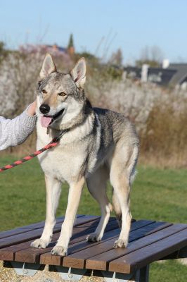 Click to view full size image