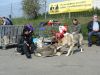 Filename=chemnitz_zacatek.jpg
Filesize=656KiB
Dimensions=1000x750
Date added=Apr 15, 2014 chemnitz_zacatek.jpg