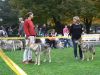 Filename=mezitrida_Budas.jpg
Filesize=273KiB
Dimensions=1200x900
Date added=Oct 14, 2014 mezitrida_Budas.jpg