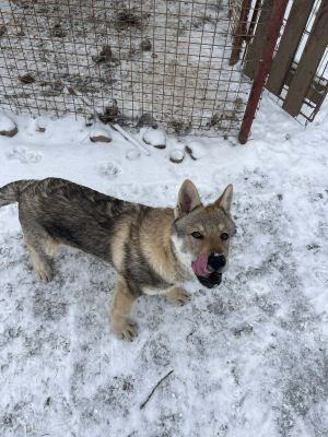 Click to view full size image