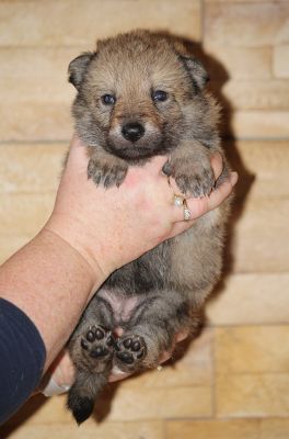 Click to view full size image