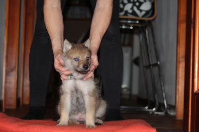 Click to view full size image