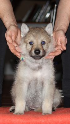 Click to view full size image