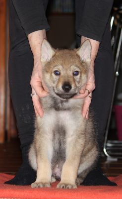 Click to view full size image