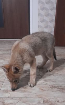 Click to view full size image