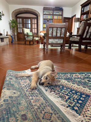 Click to view full size image