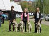 26_Q_stenata_Kalup_Plumlov.jpg