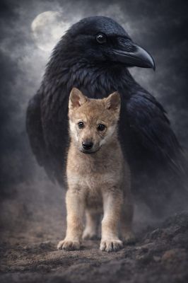 Click to view full size image