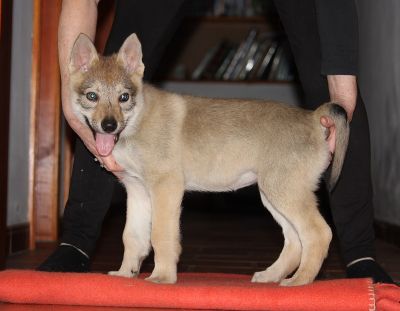 Click to view full size image