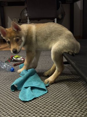 Click to view full size image