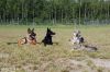 Training_at_german_shepherd_club_5_7_2008.jpg