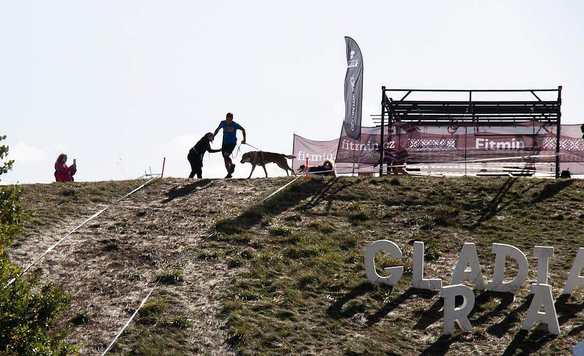 Gladiator dog race - Jiřík a Cháník