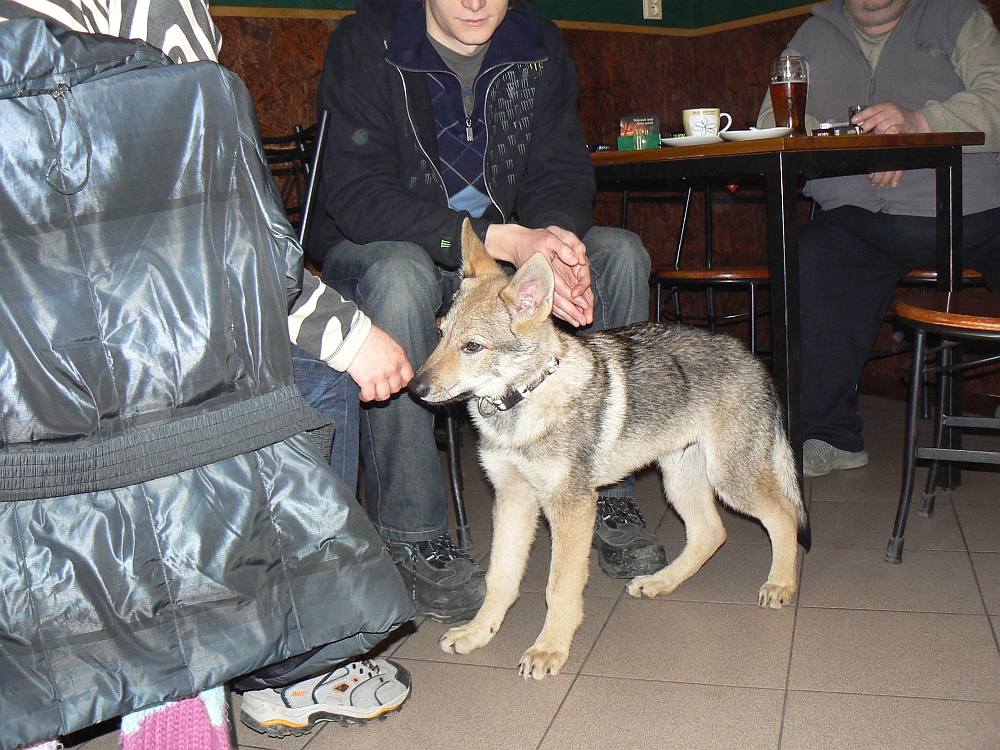 Cyrio z Molu Es 13 týdnů - bar Sever