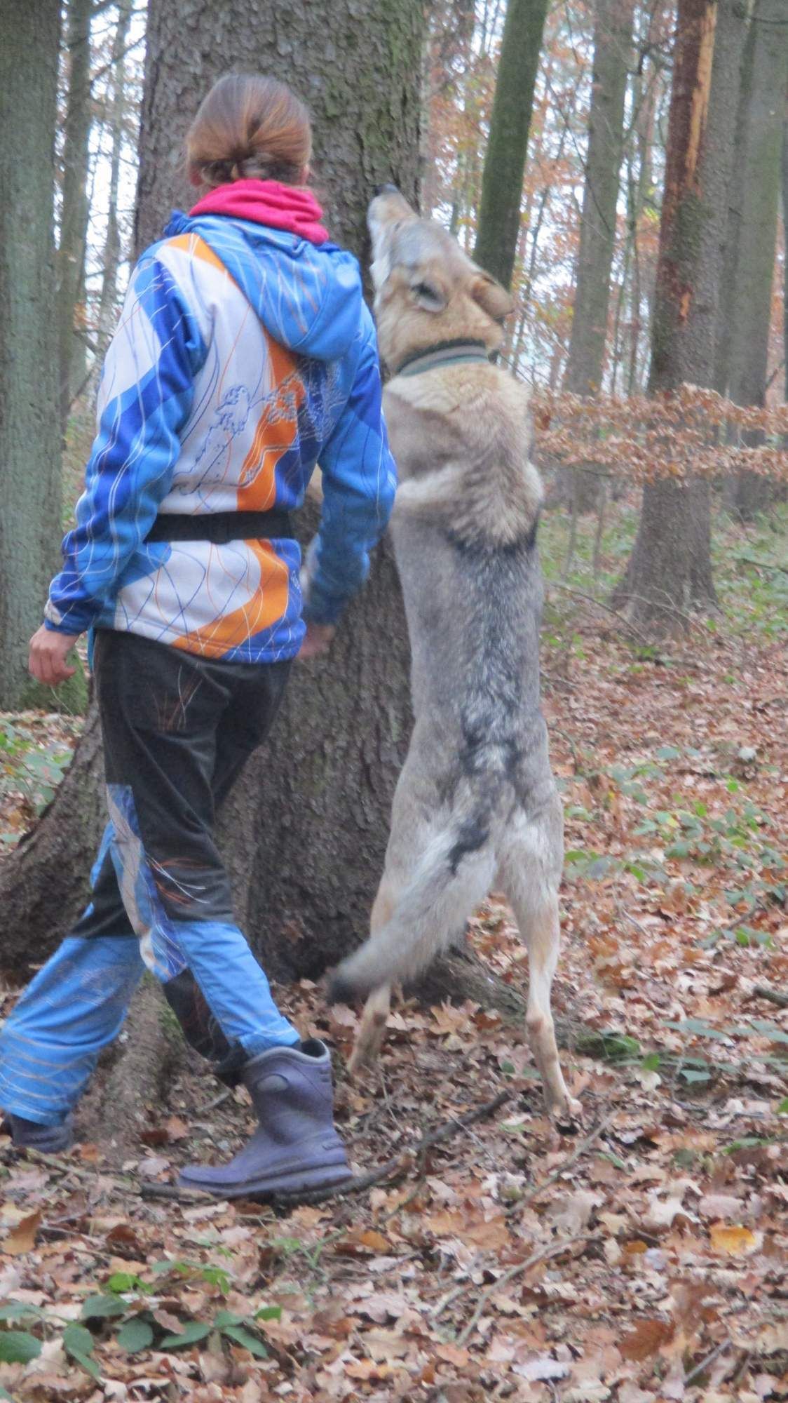 2018 MČR v nosevorku - Maja velky nature