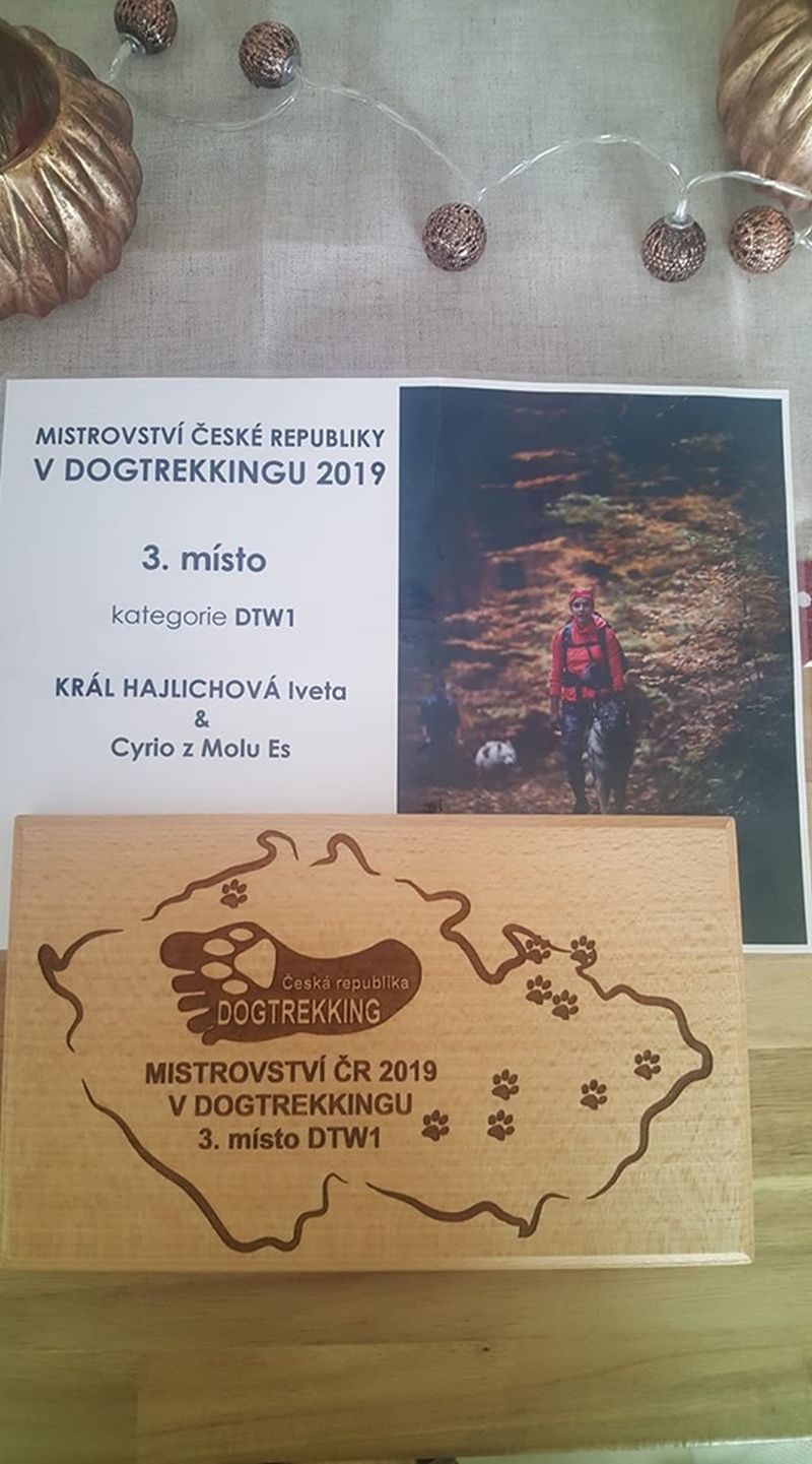 MČR dogtrekk 2019 - Iveta a Cyrio