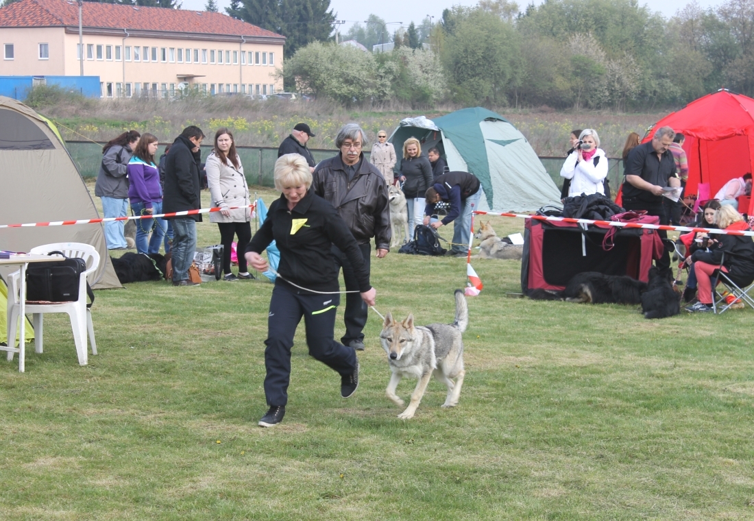 CIA z Molu Es - Dolní Jirčany 19.4.2014