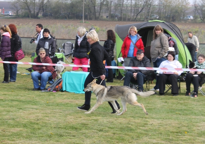 CIA z Molu Es - Dolní Jirčany 19.4.2014