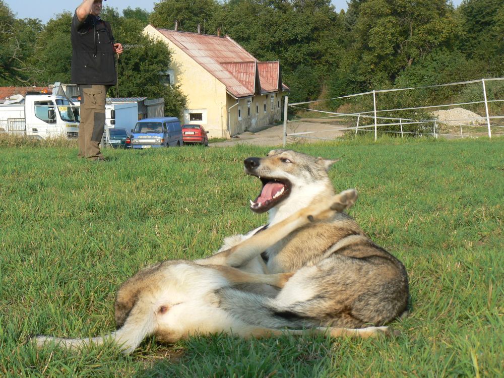 Erwin a Candy si krásně pohráli :0) Uvidíme za rok.