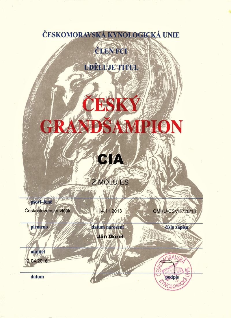 CIA z Molu Es - Grandšampion ČR