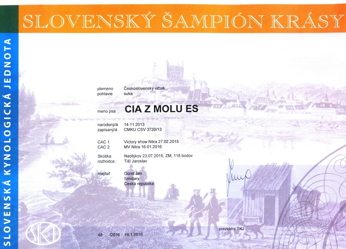 diplom Slovenský šampion - CIA z Molu Es