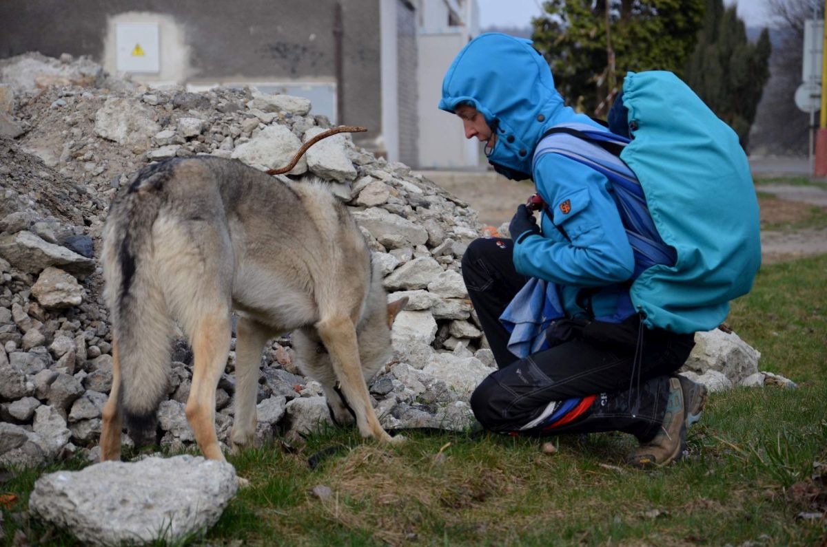 Barbara s Prokopem a Maayaou - Nose Work