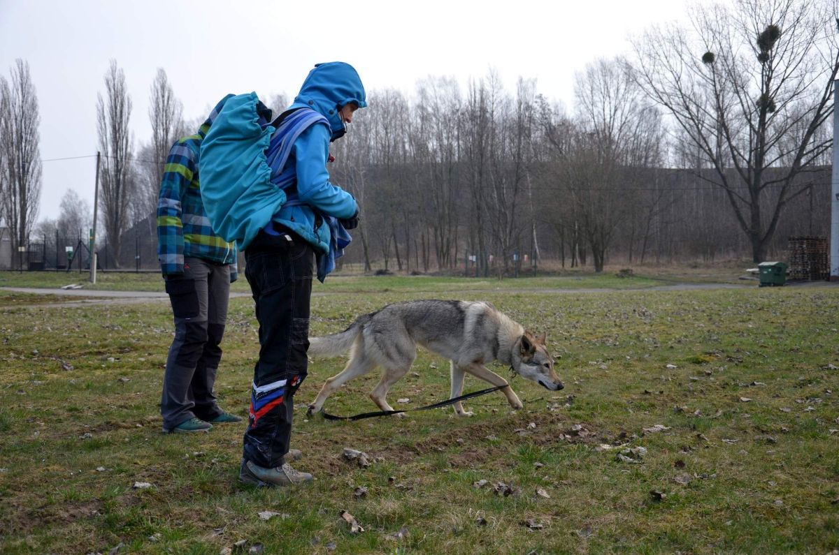 nose work s ČSV