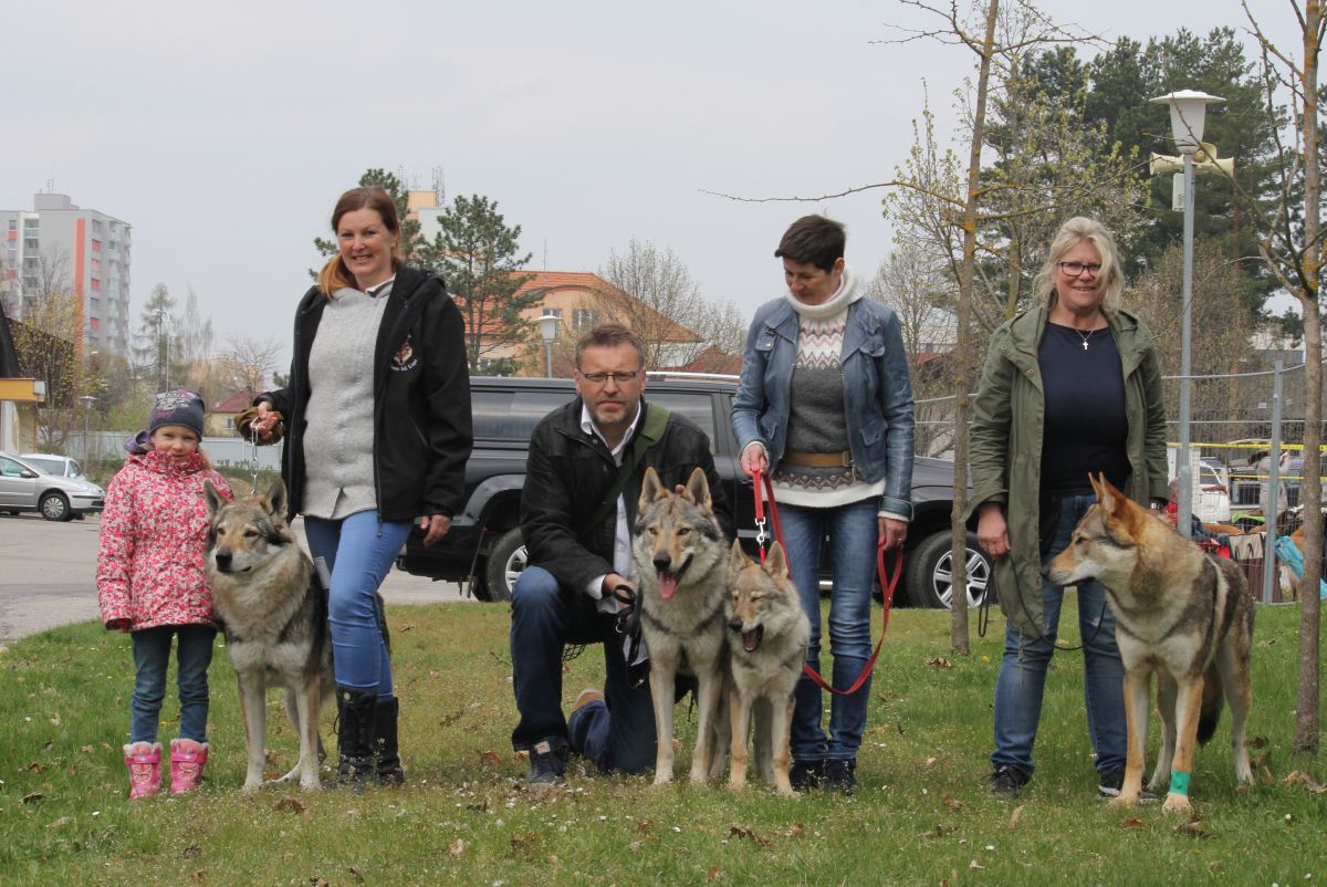 Ziggy Lee, Kvído a Kulička a Chaan čono