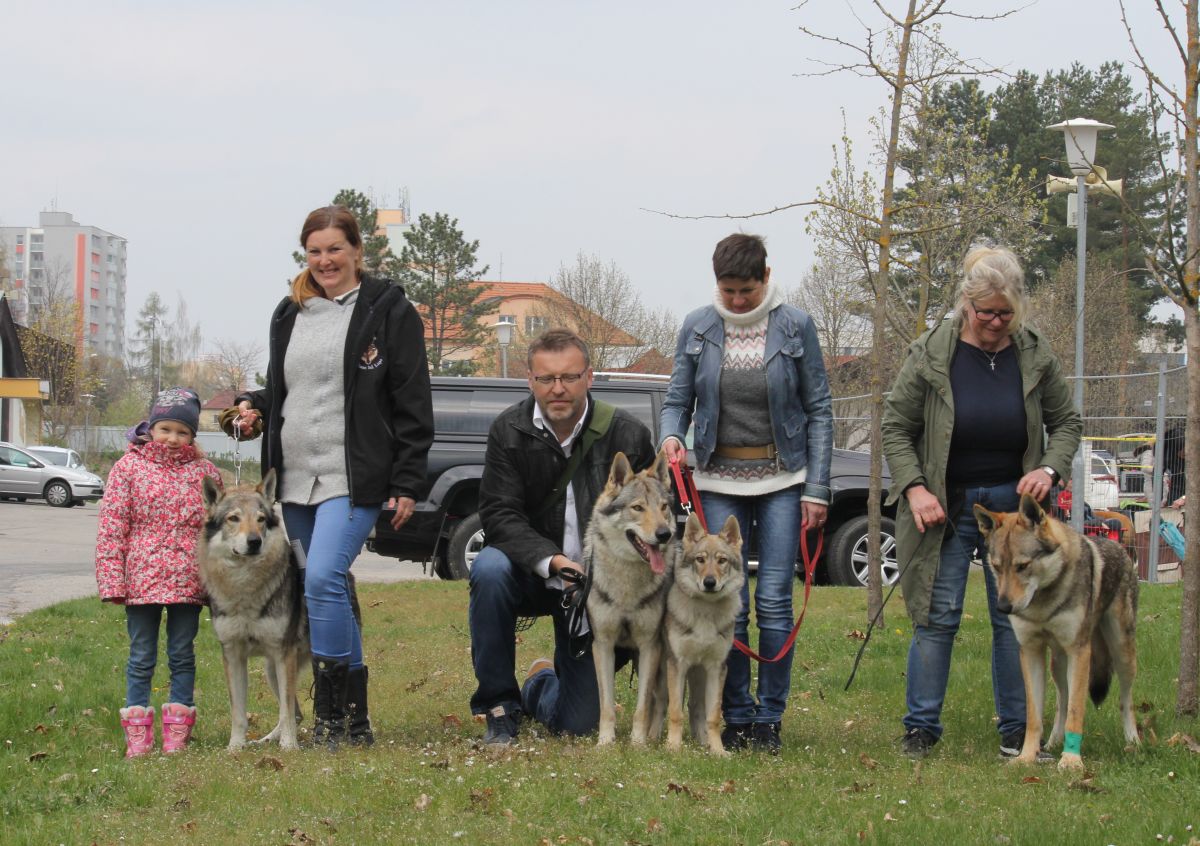 Ziggy Lee, Kvído, Kulička a Chaan čono