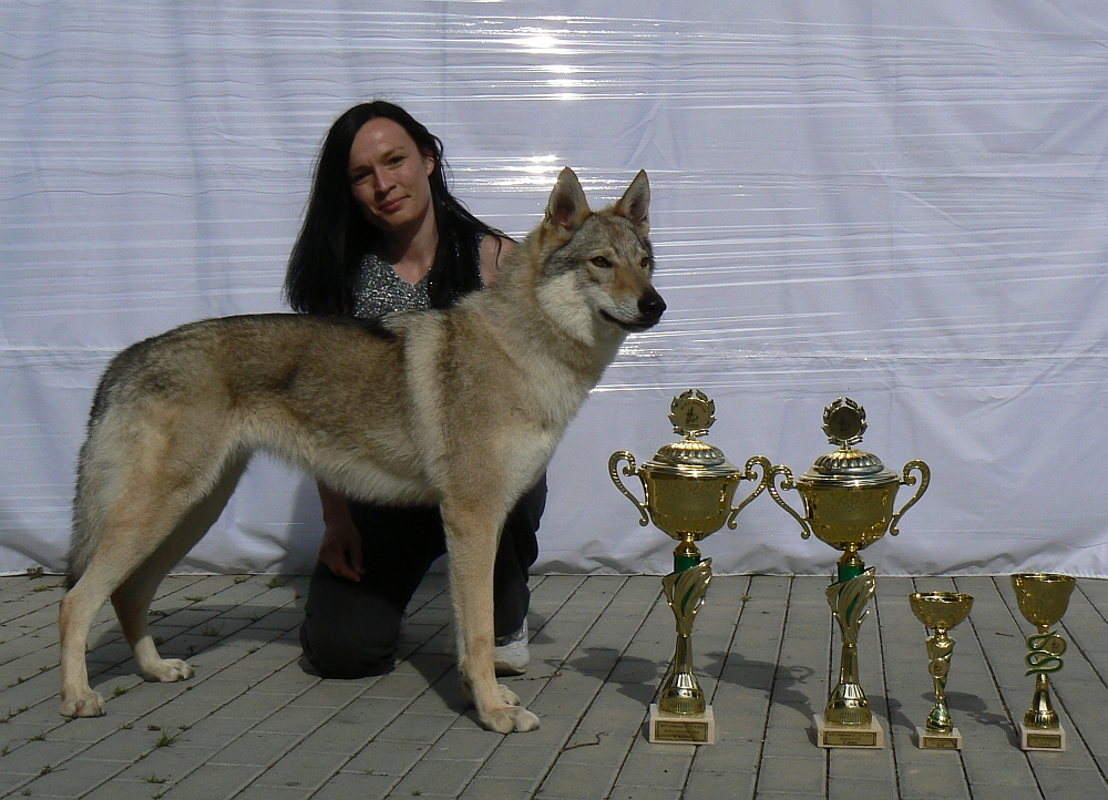 Aglaya z Molu Es a trofeje MVP České Budějovice