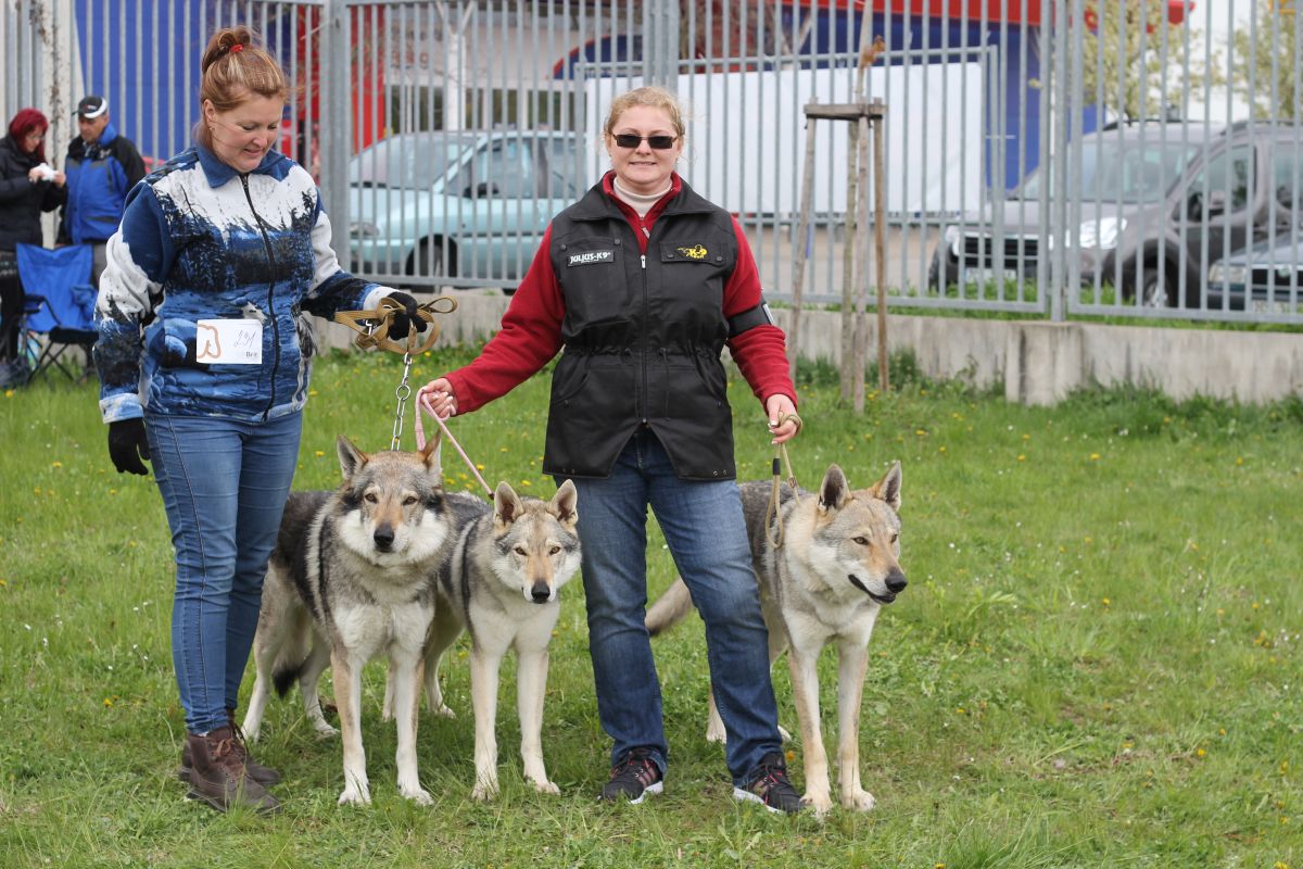 Ziggy Lee, Fu Finka a Erron z Molu Es - České Budějovice 2017